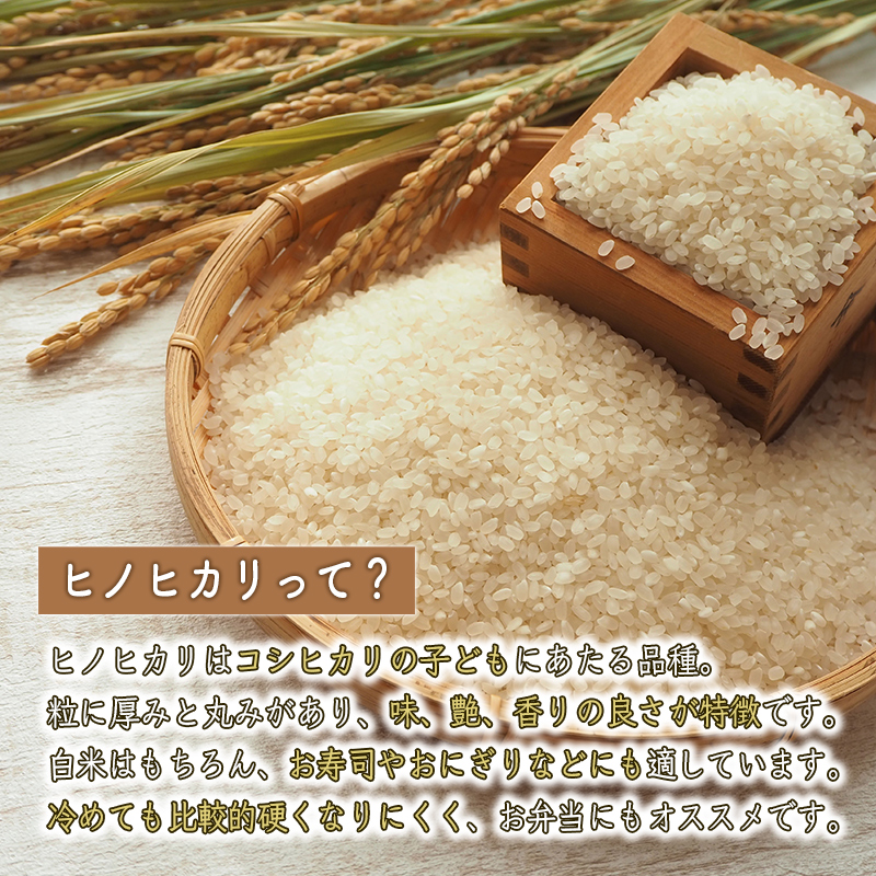 ＜新米予約＞【定期便 1か月10kg×3か月】令和7年度産 ヒノヒカリ 精米 八千種米 白米 ごはん 兵庫県産 世界かんがい施設遺産登録『西光寺野疏水路』 お米 【2025年10月中旬より順次発送予定