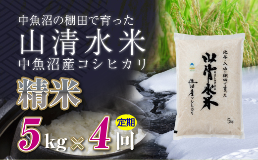 【定期便／全4回】精米5kg 新潟県魚沼産コシヒカリ「山清水米」 