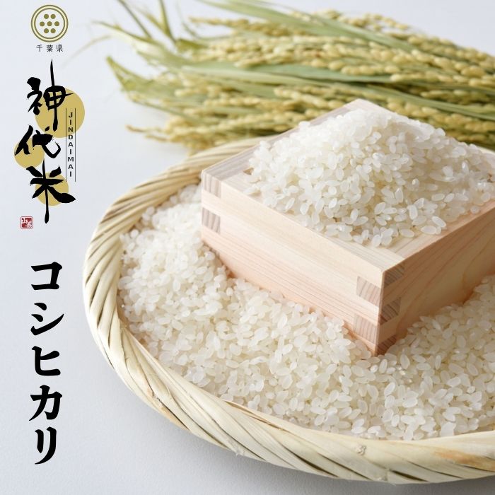 【ふるさと納税】 米 選べる容量 神代米 （ コシヒカリ ） 精白米 5kg 10kg