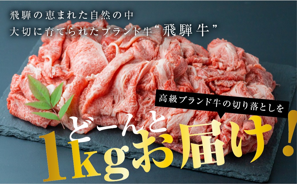 飛騨牛 切り落とし 切落し 1kg すき焼き 焼肉 牛肉