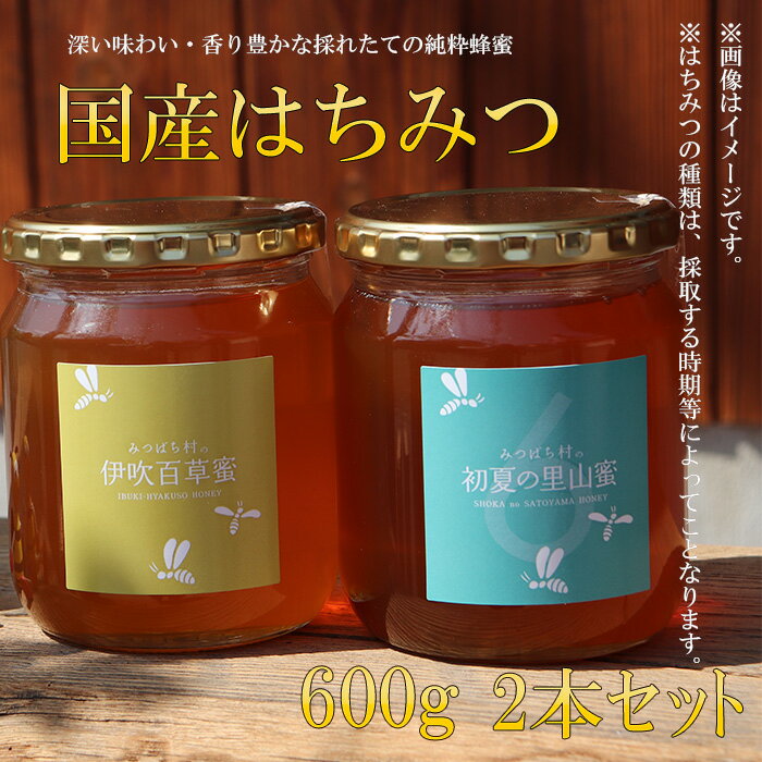 【ふるさと納税】E-27 国産はちみつ600g2本セット