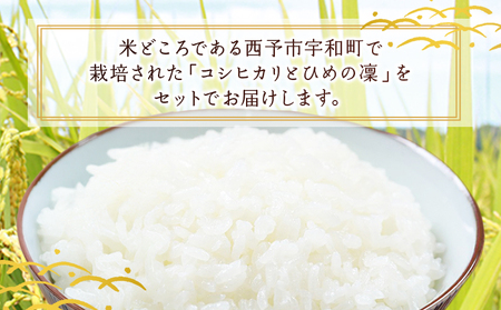 新米＜令和7年産 西予市宇和町産 特別栽培米コシヒカリ・ひめの凜 食べ比べセット（各約5kg）＞ お米 コメ こめ 白米 精米 単一原料米 穀物 こしひかり ひめのりん 朝食 低農薬 特産品 三好フク