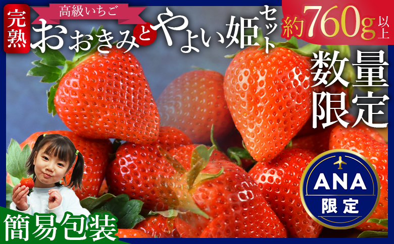 ★ANA限定★数量限定＜高級いちご「おおきみ」と「やよい姫」のセット（約760g以上）（簡易包装）＞2025年1月上旬から4月末迄に順次出荷【 イチゴ 苺 フルーツ 果物 青果 大粒 高級 果実 朝摘み 完熟 食品 】