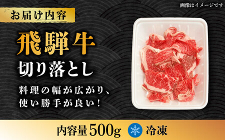 【飛騨牛】切り落とし 500g【肉の丸長】 和牛 ブランド牛 国産  [TAZ004]