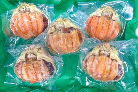 セイコガニ甲羅盛2Lサイズ 5個セット 蟹 カニ かに 松葉ガニ ズワイガニ 甲羅盛り 甲羅盛 セコガニ 冷凍 贅沢 セイコガニ セイコ蟹 簡単 かに味噌 内子 外子 濃厚 ふるさと納税 甲羅盛り