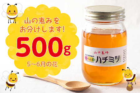 【自然のまま】富津産ハチミツ500g（5～6月の花）