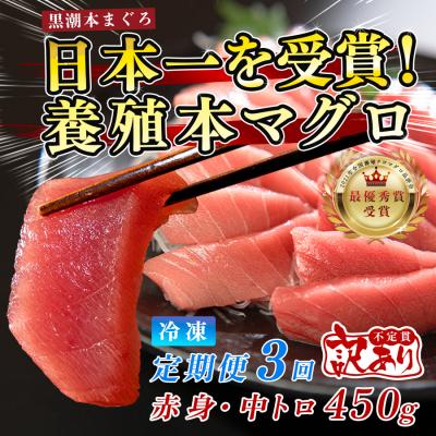 ふるさと納税 大月町 訳あり まぐろ マグロ 本鮪 黒潮本まぐろ 赤身 中トロ 定期便 3回 計450g × 3回 刺身