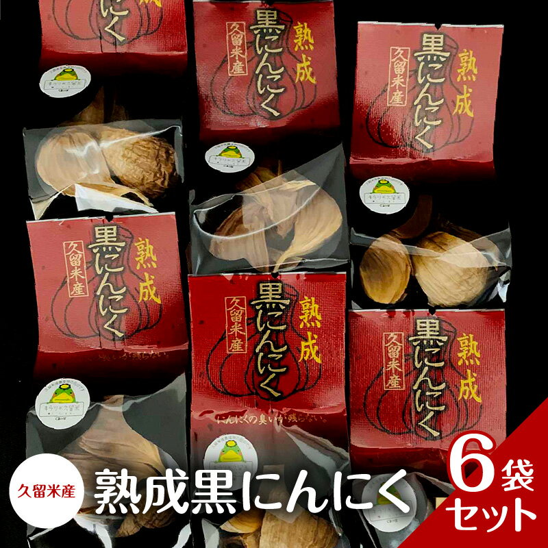 【ふるさと納税】熟成 黒にんにく セット 7粒入り×6袋 久留米産 生にんにく 長時間熟成 自己発酵 アミノ酸 ポリフェノール 豊富 抗酸化作用 抗アレルギー作用 発酵 糖度 ドライフルーツ 食感 自然素材 サプリメント 国産 食品 常温 お取り寄せ 福岡県 久留米市 送料無料
