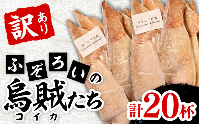 
ふぞろい の 烏賊(コイカ) たち 2024《対馬市》【ゆうなぎ対馬】イカ いか 生冷凍 新鮮 簡単調理 海鮮 魚介 煮物 揚げ物 焼き物 訳アリ 訳あり [WAG022]九州 長崎 対馬 いか お惣菜 おかず 烏賊 島土産 おつまみ 新鮮 訳あり ワケあり 詰め合わせ 剣先いか するめいか
