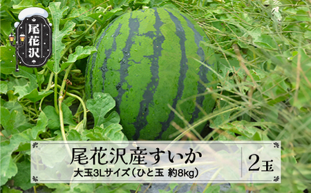 先行予約 尾花沢産すいか 3Lサイズ 約8kg×2玉 7月中旬~8月中旬頃発送  令和7年産 2025年産 大玉 すいか スイカ 西瓜 フルーツ 果物 産地直送 農産加工 ※沖縄・離島への配送不可 nk-su3xx2