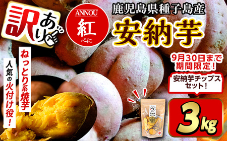 n385 ＜期間・数量限定セット！先行予約受付中！2025年10月下旬頃から12月中の発送予定＞《訳あり》種子島産 安納芋＜紅＞(3kg)＆安納芋チップス1袋セット 国産 安納芋 紅 種子島 芋 イモ さつまいも さつま芋 安納いも 野菜 【うずえ屋】