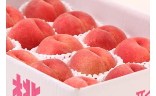 08-08-012　もも(あかつき)3kg