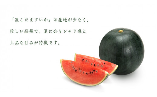 《 2027年 収穫分 》 黒こだま すいか 2玉 先行予約 JA北つくば 国産 夏 黒小玉 おやつ 小玉 スイカ 小玉すいか こだますいか こだまスイカ 小玉すいか 西瓜 フルーツ 果物 くだもの おやつ 旬 ギフト 贈答 茨城県 桜川市