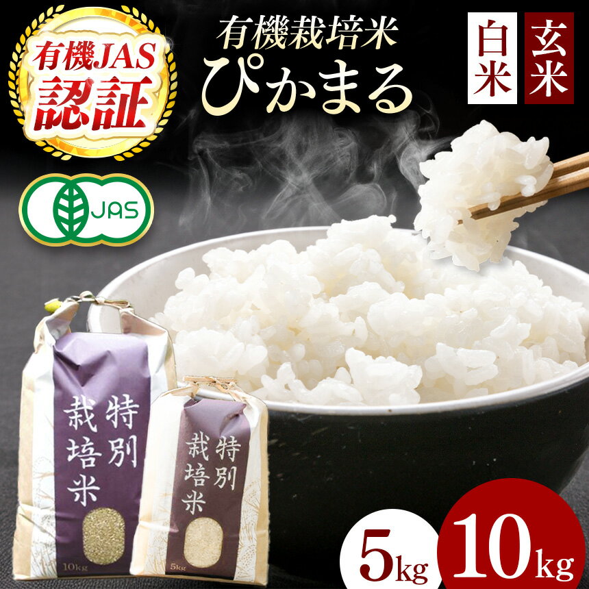 【ふるさと納税】 【令和7年産】 選べる 『タガメの里・自然米』 「ぴかまる」 白米 玄米 5kg 10kg【 有機JAS認証米 】 | お米 おこめ 米 コメ こめ にこまる 白米 玄米 有機JAS認証米 兵庫県 上郡町