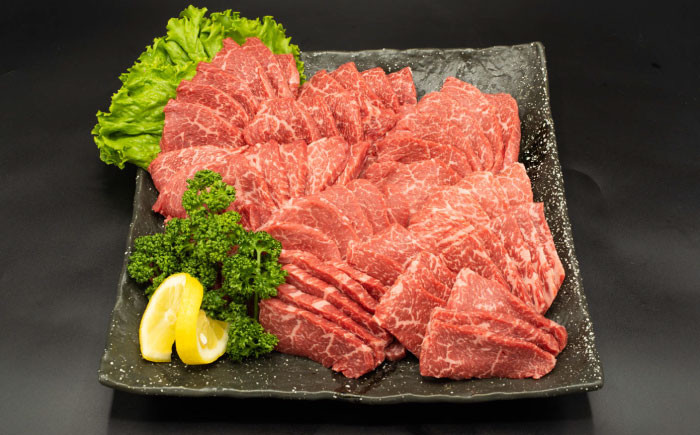 
            熊本県産 A5等級 黒毛和牛 和王 柔らか赤身焼肉 約300g×4P 計約1.2kg【帝神志方ミート 株式会社】 [AYCH095]
          
