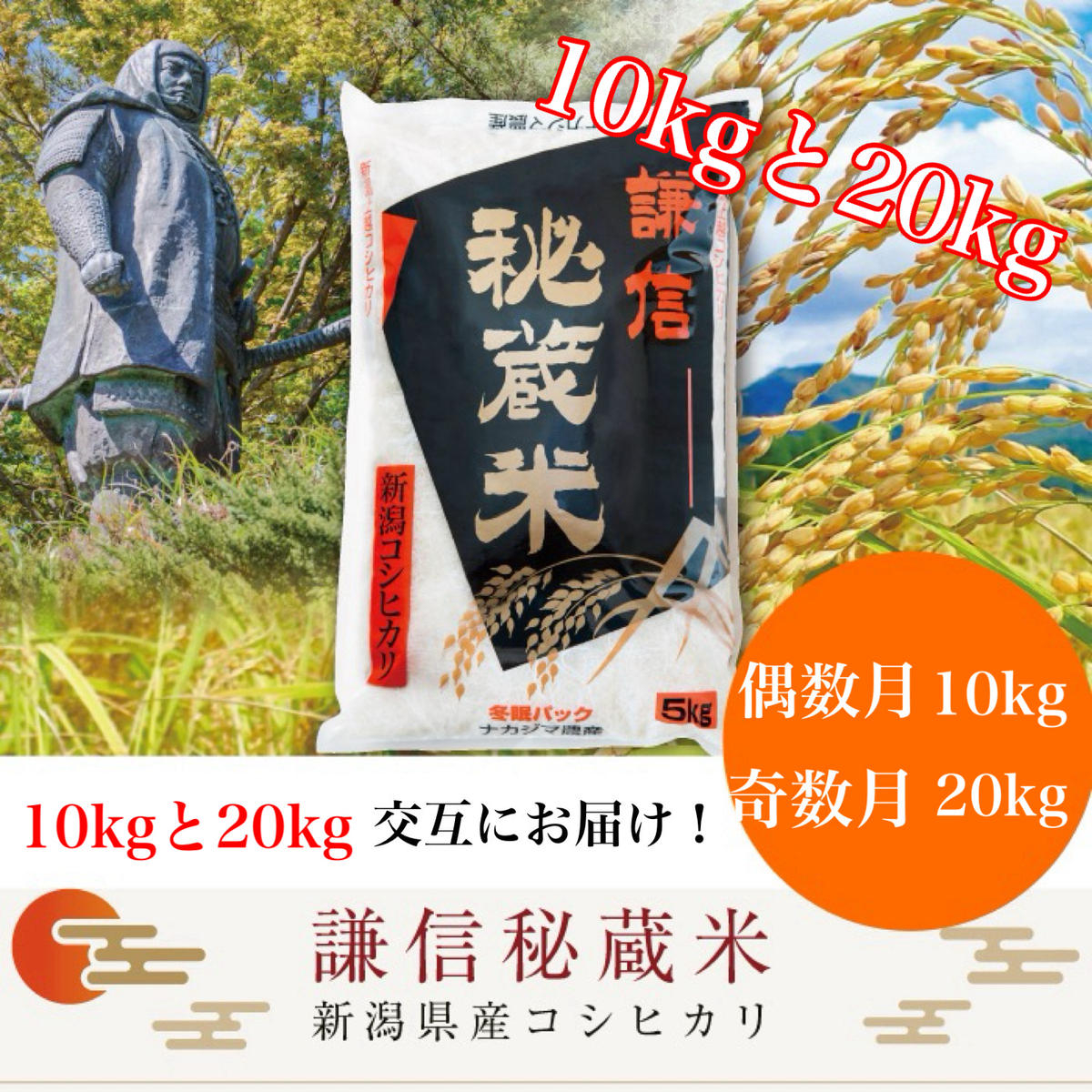 
            【先行予約｜10月上旬より順次出荷】定期便 12回 月替わり発送(偶数月10kg奇数月20kg)(全12回) 10kg 20kg 米 新潟県産 コシヒカリ  精白米 謙信秘蔵米  お米  こめ コメ おこめ おすすめ こしひかり 新潟 にいがた 新潟米 上越 上越産 上越米 ふるさと納税 定期便 上杉謙信 人気
          