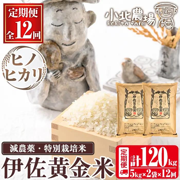 isa793 《数量限定・12回定期便》令和7年産 小北農場のお米 伊佐黄金米〈ヒノヒカリ〉(計120kg・5kg×2袋×12回) 鹿児島 伊佐 お米 120kg 定期便 12回 特別栽培米 伊佐米 白米 ヒノヒカリ ひのひかり おにぎり ごはん  【小北農場】