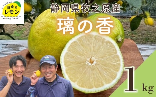 牧之原産 波乗りレモン 璃の香 1kg 国産 Lemon 檸檬 柑橘類 柑橘 フルーツ 果物 酸っぱい 果肉 酸味  防腐剤不使用 自宅用 贈答品 レモンスカッシュ レモンパウンドケーキ レモンサワー くだもの 家庭用 静岡県産 農家直送 産地直送 産直 ビタミン ビタミンC クエン酸 グリーンレモン イエローレモン おすすめ 美味しい りのか  静岡県 牧之原市
