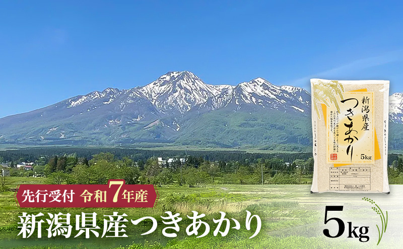 【令和7年産 つきあかり】10月中旬より順次発送　新潟県産つきあかり 5kg 上越市 米 こめ コメ お取り寄せ