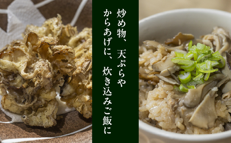 訳あり（簡易包装）飛騨舞茸 2kg まいたけ 舞茸 まいたけ【60-3】