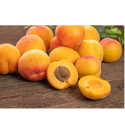 ふるさと納税 長野県 生あんず 加工/生食用( 信州サワー または 信州大実 )約2kg 長野県産 産地直送