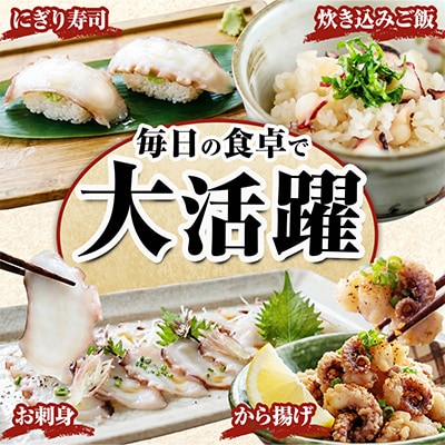 水タコボイル足　3kg　真空【配送不可地域：離島】