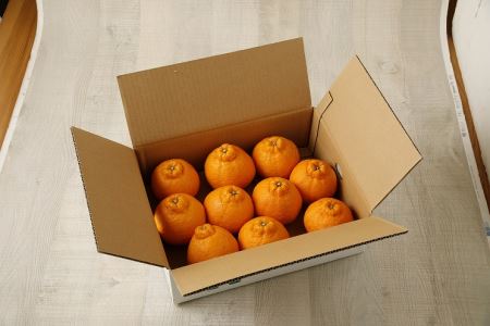 S040-010A_農家の手摘み不知火 約3kg〈先行受付〉/ 不知火 柑橘 みかん フルーツ 果物