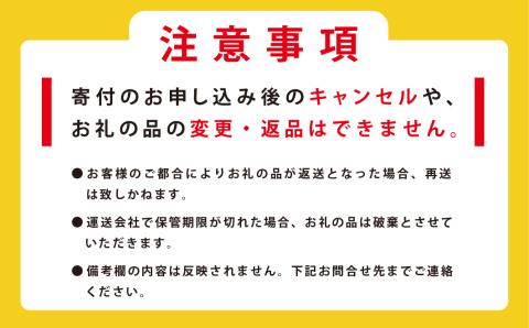 【国内消費拡大求む】北海道 オホーツク 湧別産 ほたて貝柱 SA 500g