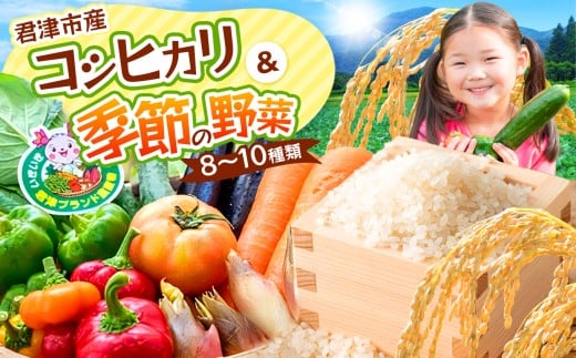 新米 【 和7年度産コシヒカリ3kg ＆ 季節の野菜まごころBOX 】 人気の直売所  JAきみつ 味楽囲さだもと店 | 野菜 やさい お米 米 コメ こめ こしひかり コシヒカリ 詰合せ セット 定期 定期便 朝採れ 旬野菜 新鮮 オススメ 千葉県 君津市 きみつ
