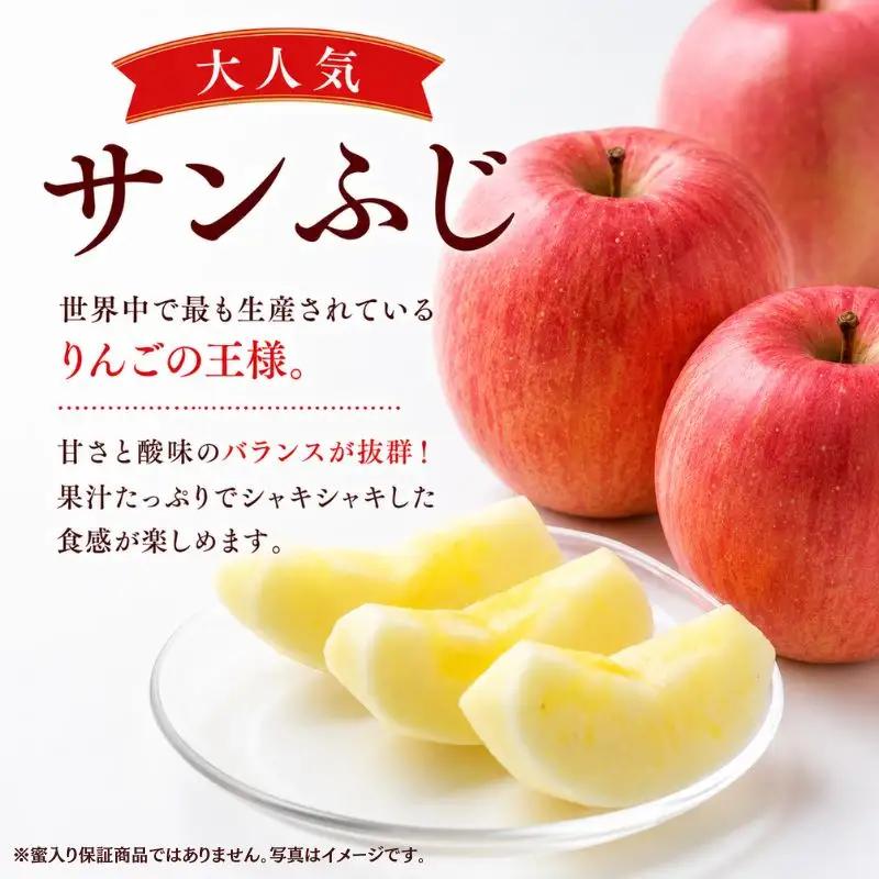 【12月上旬~発送】 りんご サンフジ 10kg 先行予約 訳あり 家庭用 ふじむら農園 fujimura006