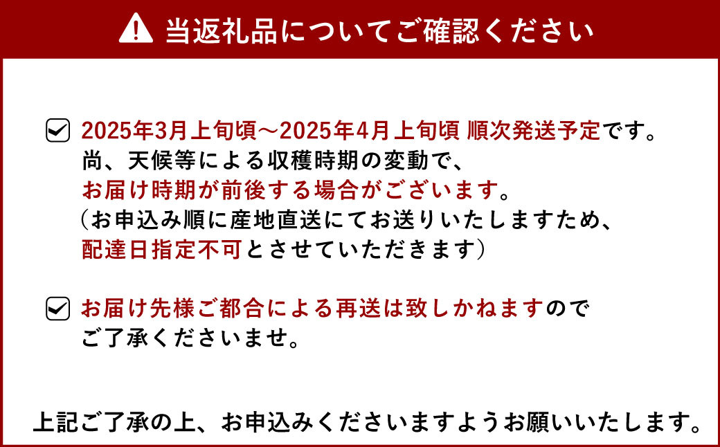 【先行予約】 熊本県宇城市産 パール柑 約10kg 【2025年3月上旬から4月上旬発送予定】