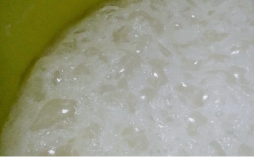 富山県氷見名物 酒まんじゅう 20個箱入 三國屋製（創業江戸嘉永年間）　【和菓子・まんじゅう・饅頭】