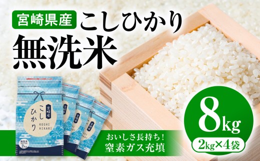 《令和7年産》《無洗米》宮崎県産こしひかり 合計8kg(2kg×4袋)｜宮崎県産 こしひかり コシヒカリ 8kg 2kg 国産 米 お米 コメ 精米 白米 ごはん ご飯 ライス 白飯 ブランド米 小分け ストック おすそ分け おにぎり おむすび お弁当 弁当 主食 炭水化物 贈答 贈り物 ギフト お取り寄せ ふるさと納税米 グルメア人気 オススメ おすすめ 宮崎県 宮崎市｜_M181-004