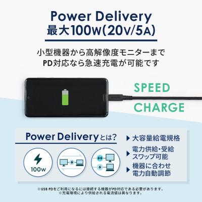 ふるさと納税 海老名市 (オウルテック) USB3.2 Gen2&PD100W対応 TypeC to TypeCケーブル1m |  | 03