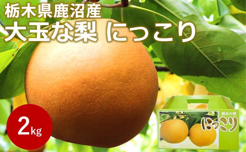 
                  【2026年栃木県鹿沼産】大玉な梨（にっこり） 約2kg ナシ 果物 フルーツ ※2026年10月～発送
                