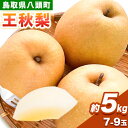 【ふるさと納税】【先行予約】 梨 王秋梨 約5kg (7～9玉入り) 旬菜まるや 《2025年11月中旬～2026年1月中旬頃出荷》 鳥取県 八頭町 送料無料 なし 果物 フルーツ お取り寄せ 5kg