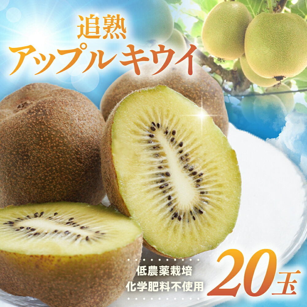 【ふるさと納税】【数量限定】低農薬栽培 追熟アップルキウイ 20個 約2.5～3kg 化学肥料不使用 キウイ フルーツ 果物 くだもの キウイフルーツ ゴールドキウイ アップルキウイ 完熟 追熟 三重県 多気町 te-01