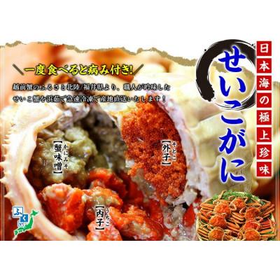 ふるさと納税 高浜町 福井県産　越前コッペガニ |  | 02