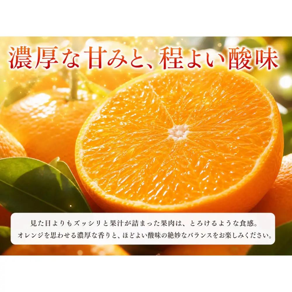 紀州有田産せとか約3kg　とろける食感！ジューシー柑橘［2027年3月上旬以降発送］［先行予約］［UT03］