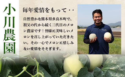 【2025年4月中旬発送開始】熊本県産 ホームランメロン アンデスメロン 食べ比べ 計5玉 約5kg【 先行 御予約 予約 ご予約 熊本 くまもと メロン フルーツ 果物  】083-0624