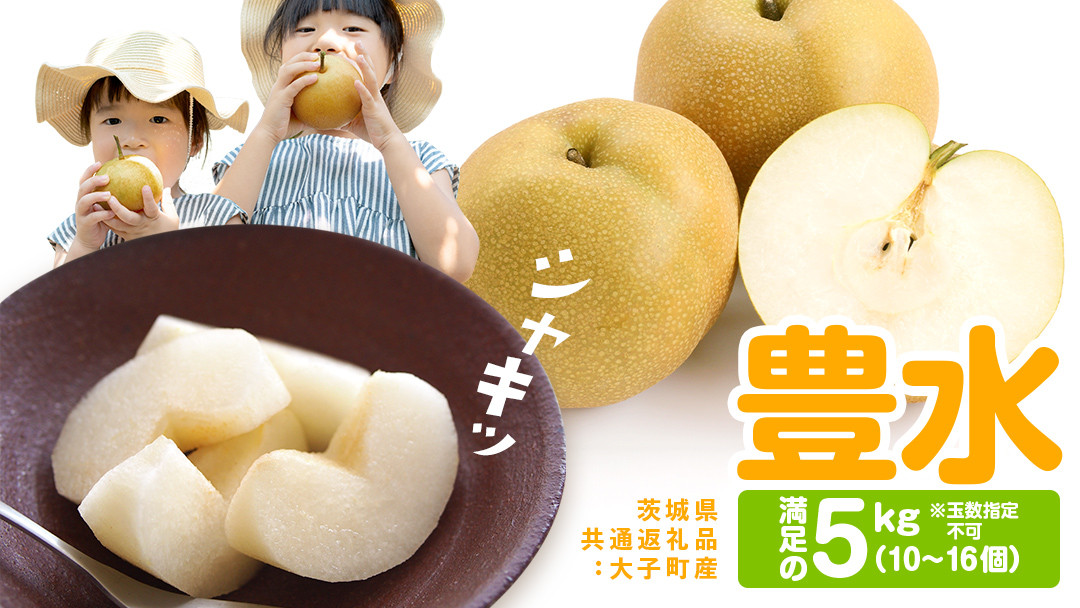 
            梨 豊水 約5kg（10～16個）【2025年9月より発送開始】（茨城県共通返礼品 [梨]：大子町産）田舎の頑固おやじが厳選！ なし 豊水梨 果物 くだもの フルーツ 旬 高糖度 ギフト 美味しい 甘い デザート
          