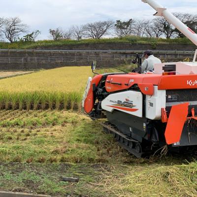 ふるさと納税 大垣市 【令和7年産 新米】れんげハツシモ玄米 10kg |  | 03