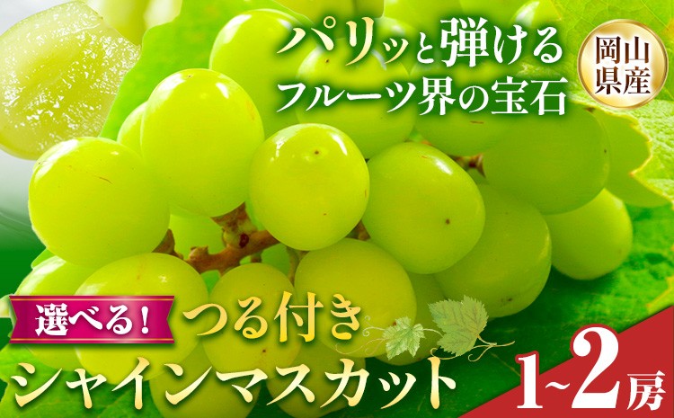 
                  【先行予約】岡山県産 選べる つる付き シャインマスカット 1房 (680g以上) 2房 (580g以上) 有限会社ホーティカルチャー神島《選択する栽培方法で出荷時期が異なります》岡山県 浅口市 マスカット ぶどう 葡萄 果物【配送不可地域あり】
                