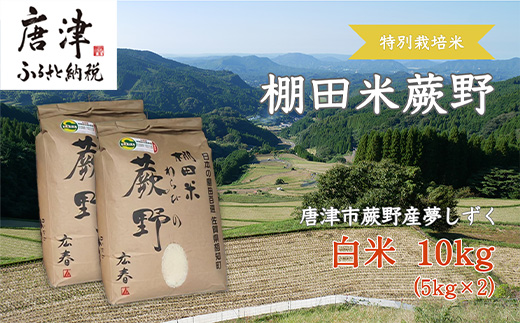 特別栽培棚田米「蕨野」5kg×2袋(合計10kg)  家庭排水が一切入らない自然水で作られたお米 10日に1回精米で新米のような味わい