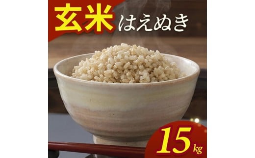令和7年産【玄米】はえぬき　15kg(5kg×3袋) YA SE0554