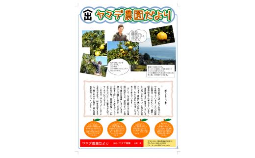 訳あり ポンカン 5kg 早期受付 2026年1月中旬より順次発送 安和ポンカン 家庭用 柑橘 椪柑 みかん フルーツ 果物 くだもの 期間限定 季節限定 YN001_x