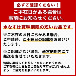 本場泉州の煎り糠水なす漬け 6個【016D-005】