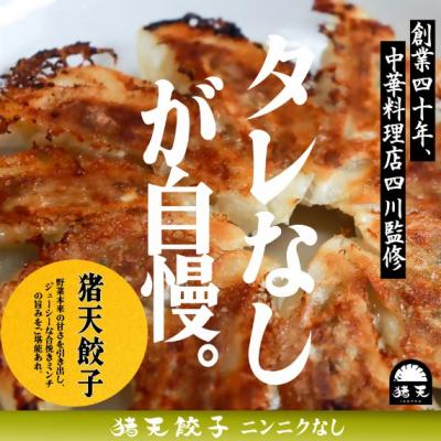 ふるさと納税 春日井市 【猪天餃子(ニンニクなし)】春日井の中華料理店四川監修タレなし生餃子「猪天餃子」 |  | 01