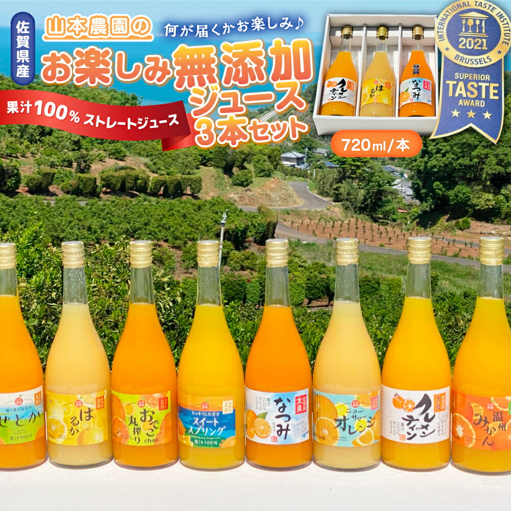 【ふるさと納税】山本農園のお楽しみ無添加ジュース 3本セット 100％ジュース みかんジュース 温州みかん クレメンティン スイートスプリング せとか なつみ はるか おでこちゃん ニューサマーオレンジ みかん ミカン フルーツ 果物 ミネラル豊富 太良町 国産 贈答用 N118