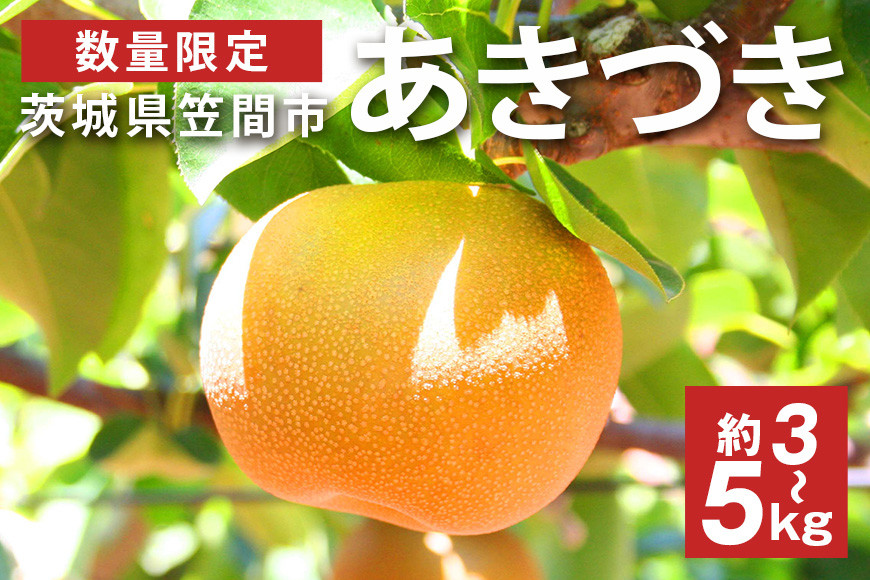 
                  【先行予約】【数量限定】 梨 あきづき 3kg 5kg 大玉 7～16個入り 柴沼梨園 ナシ なし 国産 茨城 秋 旬 フルーツ 果物 秋の味覚 旬の果物 くだもの 大きい サイズ 品種 産地 茨城県産 家庭用 産地 梨園 直送 茨城県 笠間市 送料無料 【9月上旬～中旬発送】
                